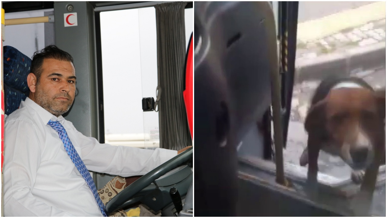 Yürek ısıtan hikaye! Dostlukları bir bardak su ile başladı...