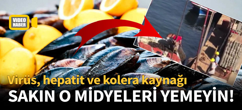 Denizden zehirli midye çıkarıp halka yediriyorlar