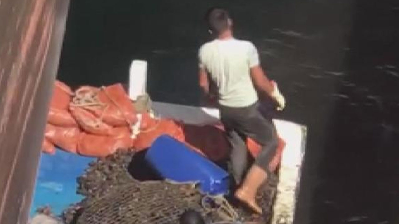 Denizden zehirli midye çıkarıp halka yediriyorlar