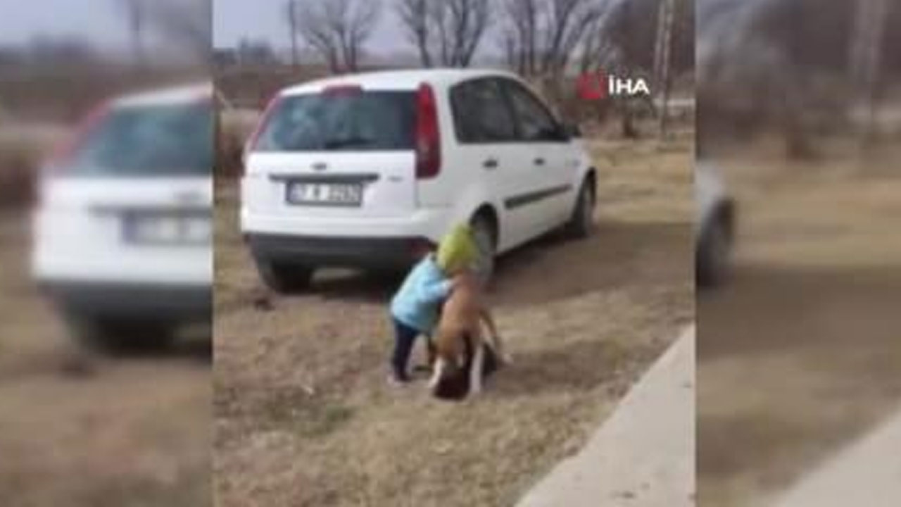 Neşeli görüntüler tıklanma rekoru kırdı