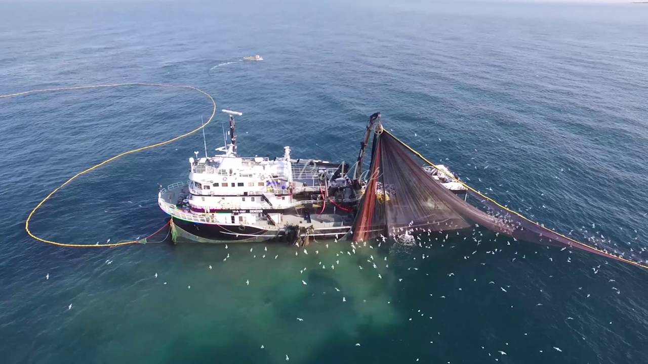 Deprem araştırmasına trol darbesi! Hepsini kestiler