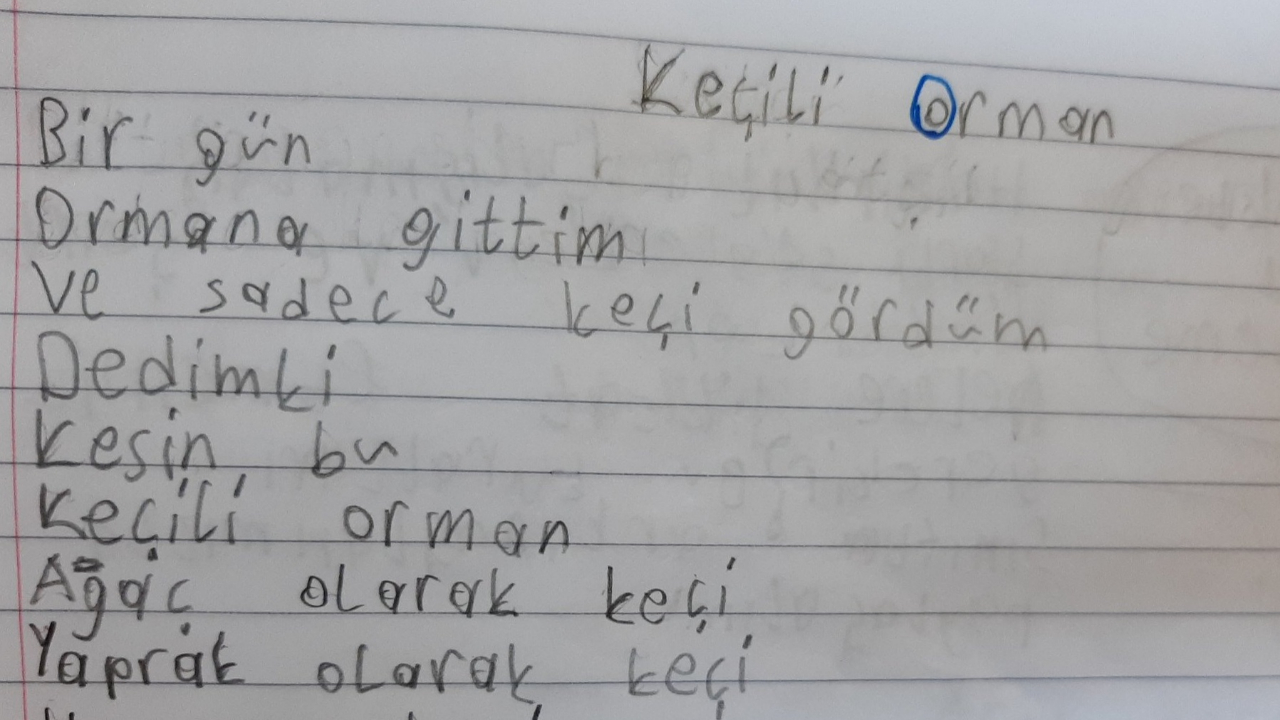 Zarifoğlu ve Mevlana İdris okuyup şair olan çocuk!