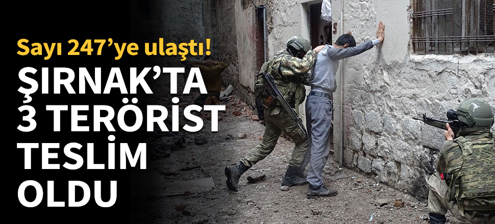 Şırnak'ta 3 terörist teslim oldu...