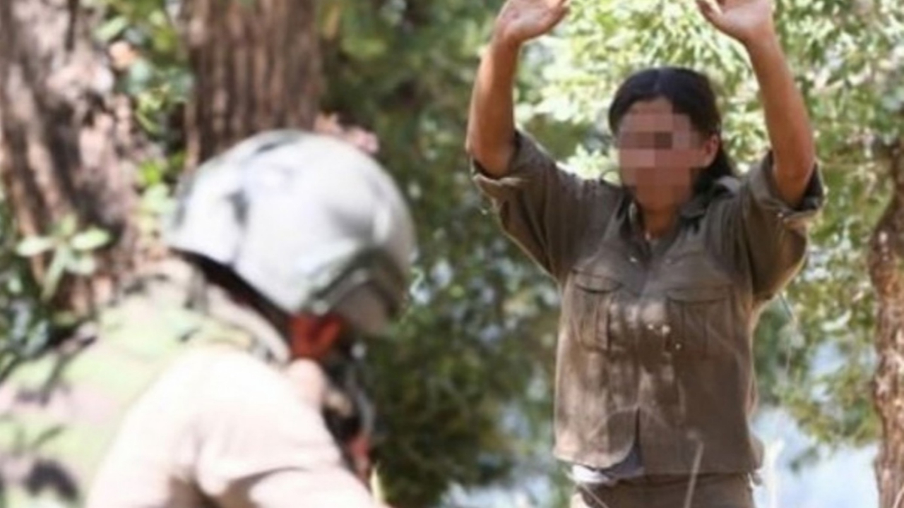 PKK'da çözünme sürüyor: 2 terörist daha teslim oldu