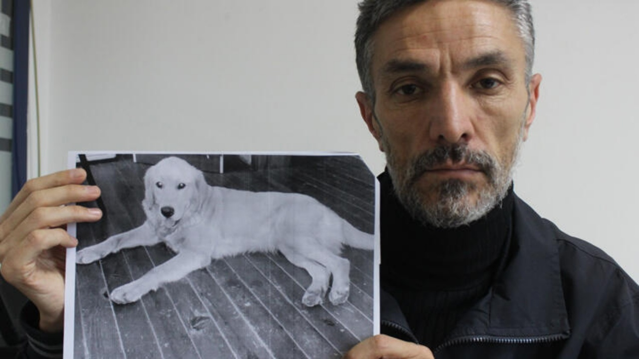Köpeği Bursa'da çalındı, ABD'de ortaya çıktı!