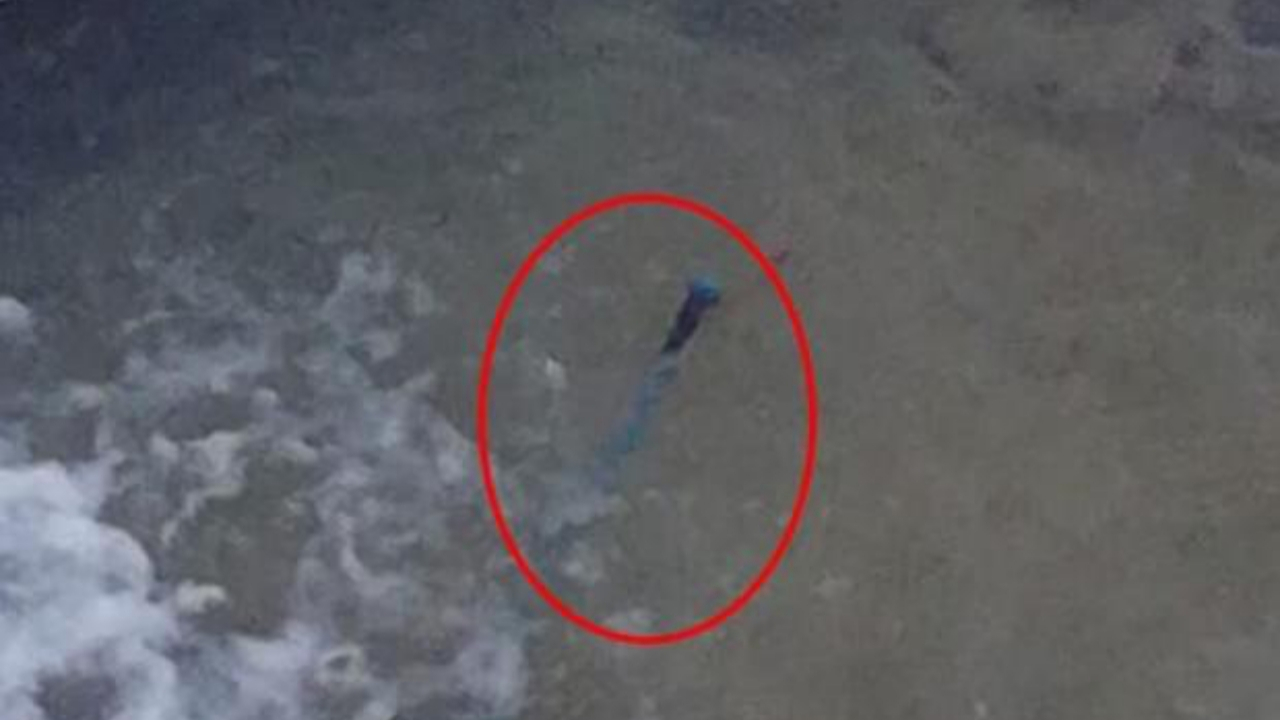 Uludağ'da 2 kayıp dağcıyı arama çalışmalarında baton bulundu!