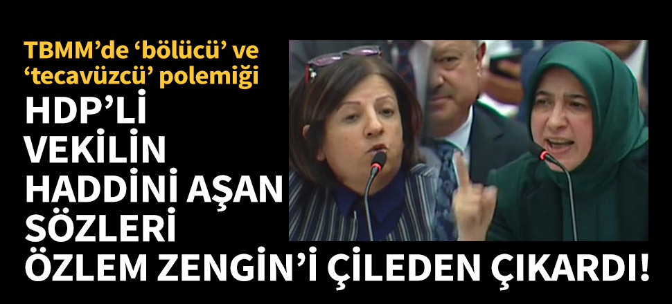 HDP'li vekilin haddini aşan sözleri Özlem Zengin'i çileden çıkardı!
