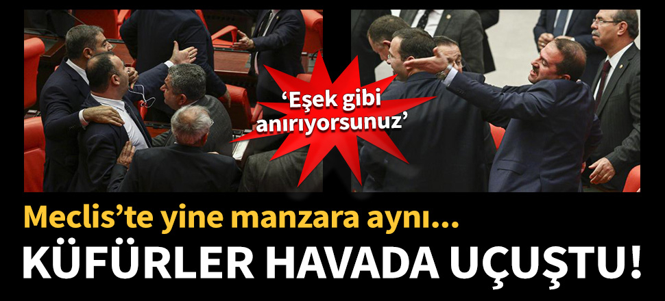 Meclis'te küfürler havada uçuştu!