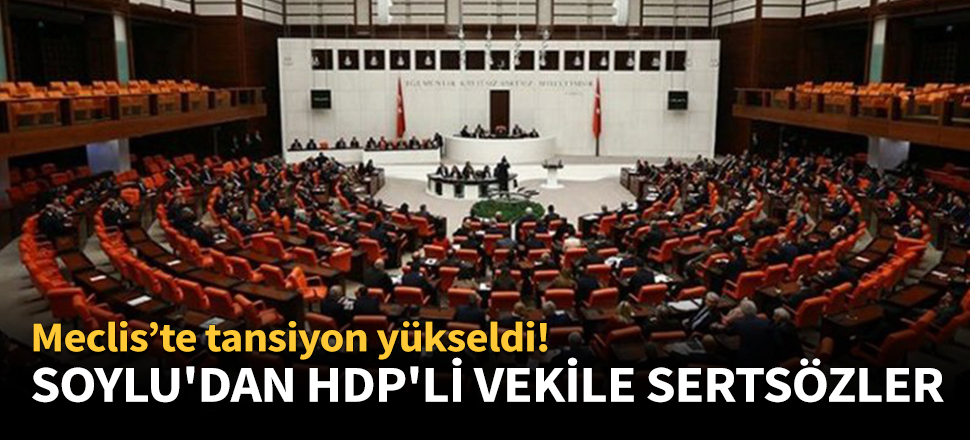 Bakan Soylu'dan HDP'li vekile sert sözler