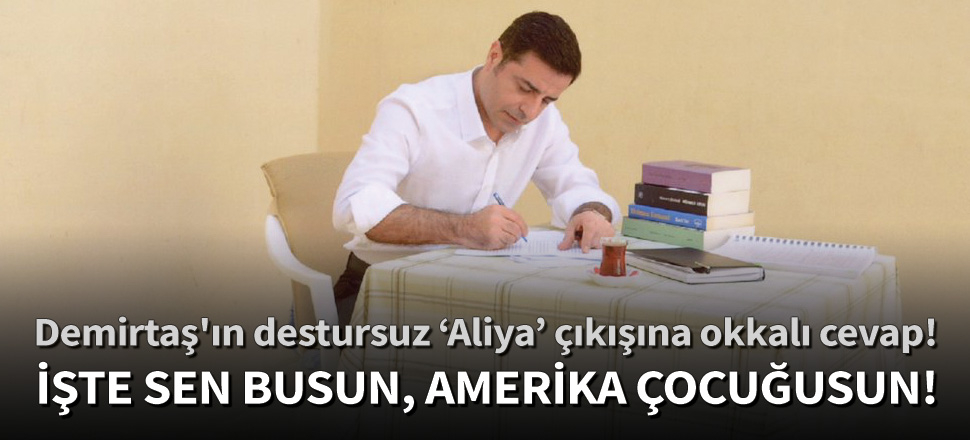 Demirtaş sen busun, ABD çocuğusun!