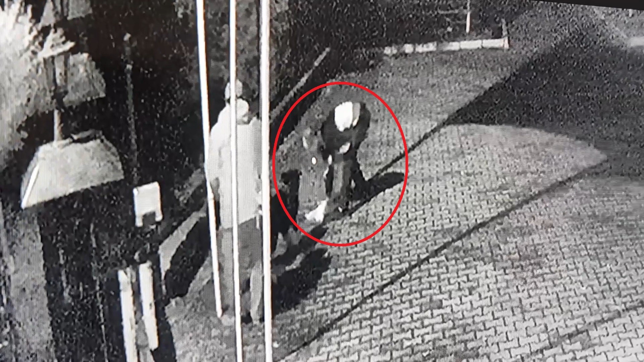Boğulan köpeği kalp masajıyla hayata döndürdü!