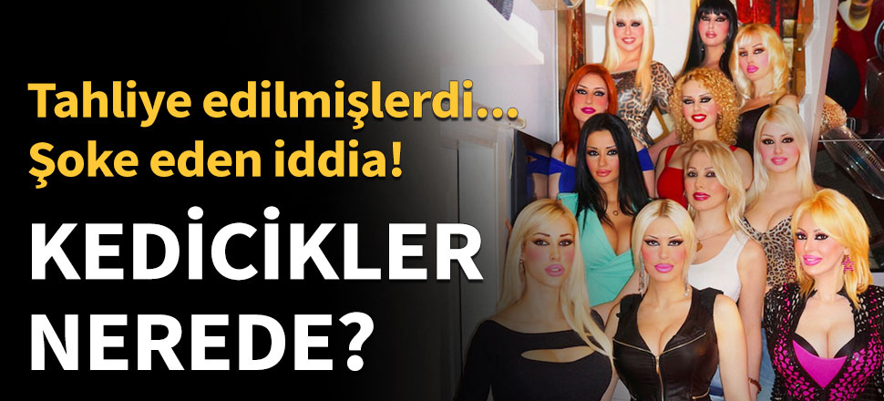 Kediciklerin nerede olduğu ortaya çıktı