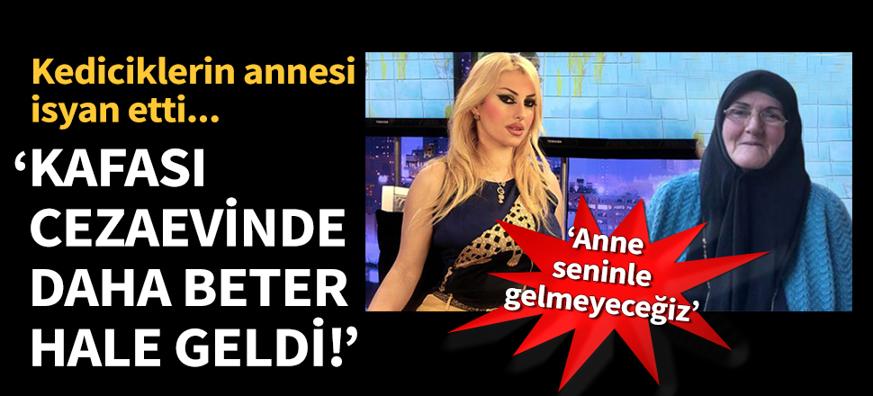 Kediciklerin annesi isyan etti!