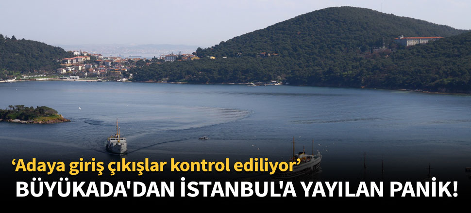 Büyükada'da hastalık yüzünen 80 at öldürülecek