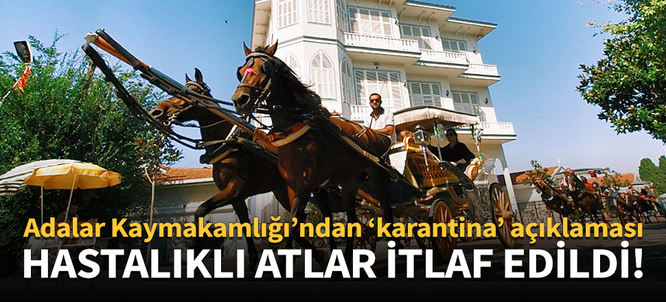 Adalar Kaymakamlığı, hastalık tespit edilen atların itlaf edildiğini duyurdu!
