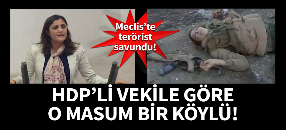 HDP'li vekile göre teröristler masum birer köylü!