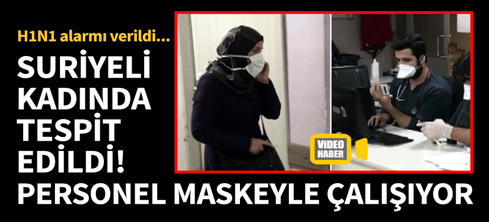 Gaziantep'te domuz gribi virüsü alarmı!