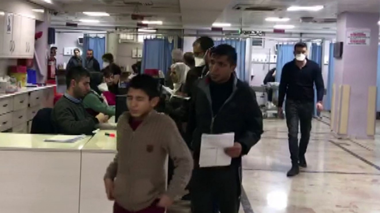 Gaziantep'te domuz gribi alarma geçirdi!