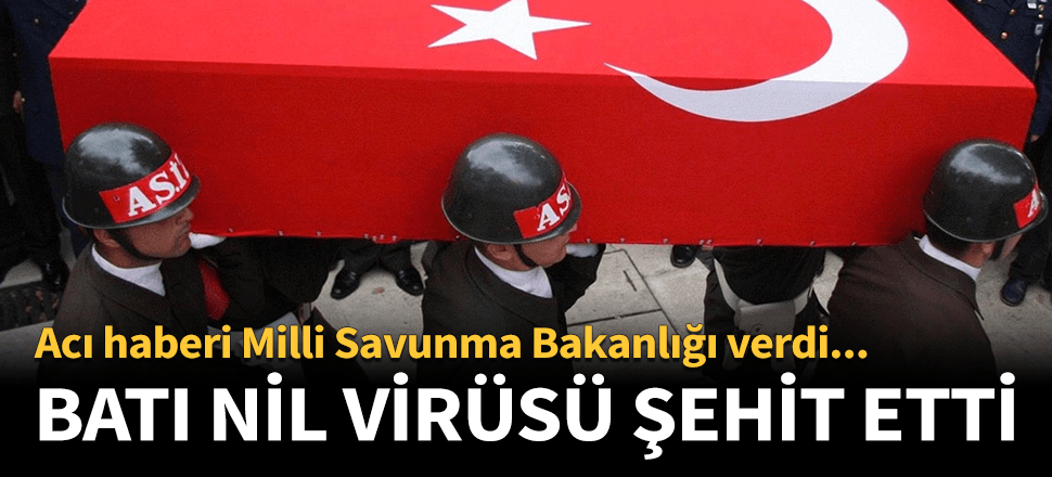 Batı Nil virüsü nedeniyle bir asker şehit oldu!