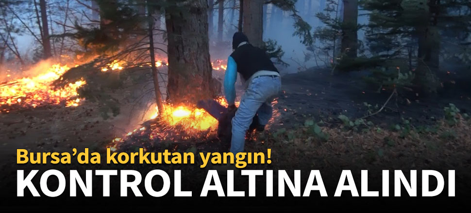 Bursa'da çıkan orman yangını kontrol altına alındı