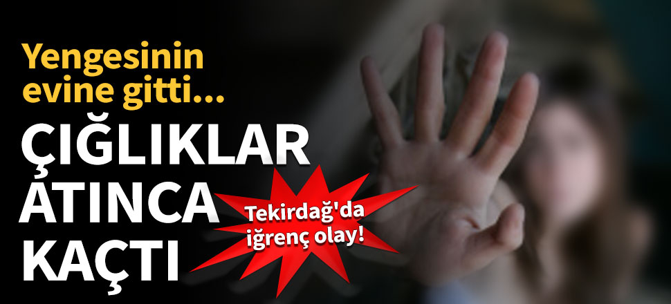 Yengesine cinsel istismarda bulundu