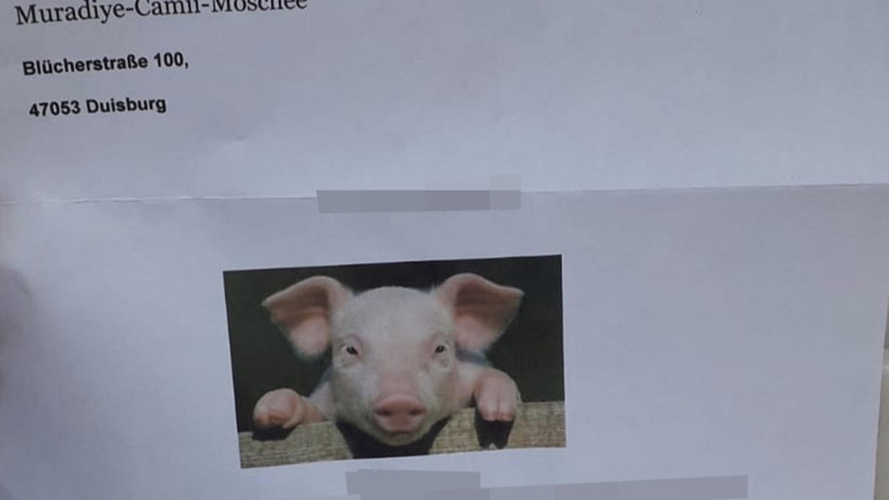 Almanya'da camiye domuz fotoğraflı hakaret mektubu gönderildi!