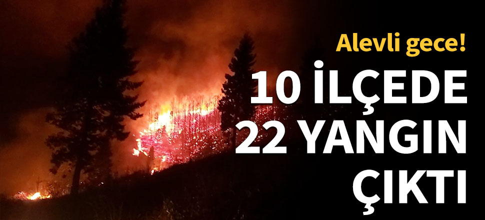 Trabzon'da 10 ilçede 22 yangın...
