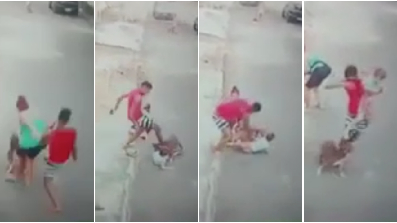 Küçük çocuğu pitbull saldırısından böyle kurtardı!