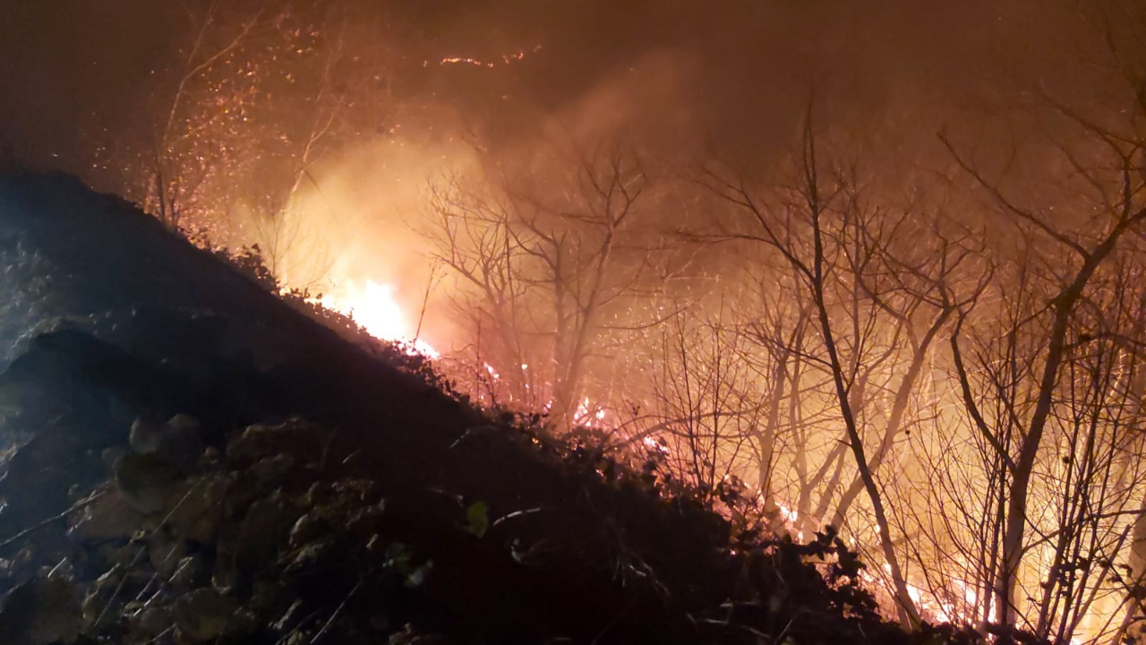 Karadeniz alev alev! 4 il 26 ilçede yangın...