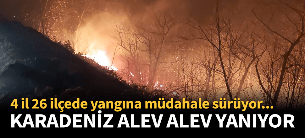 Karadeniz alev alev! 4 il 26 ilçede yangın...