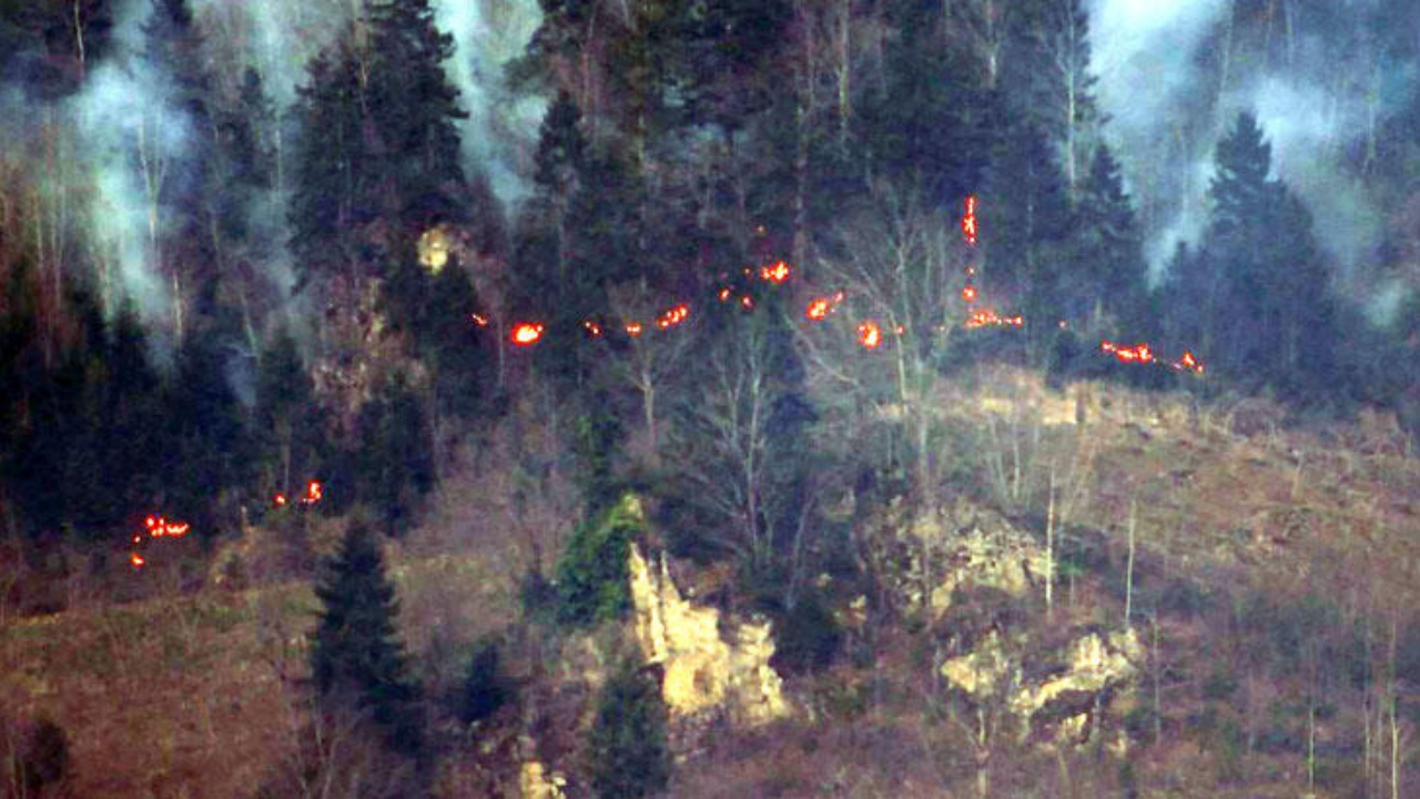 Karadeniz'de 69 noktada yangın!