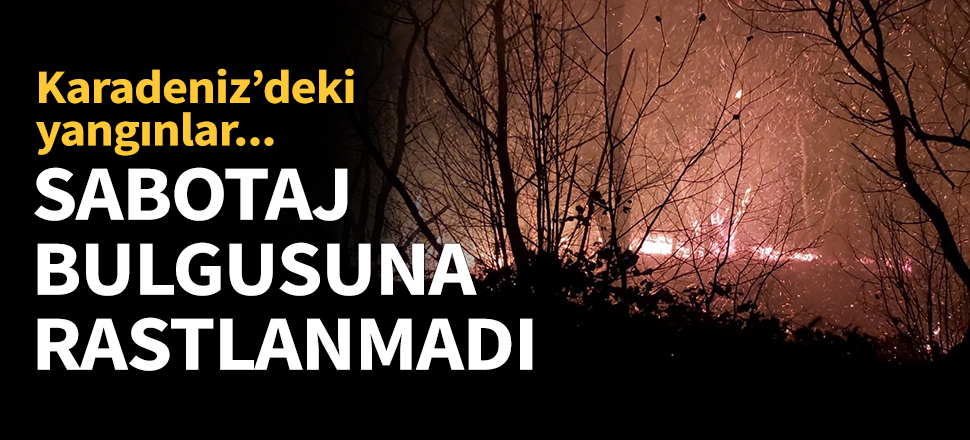 Karadeniz'deki yangınlarda sabotaj bulgusu yok!