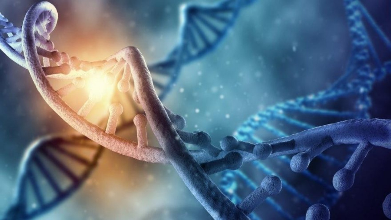 Pentagon'dan mensuplarına DNA uyarısı: Sakın yaptırmayın!