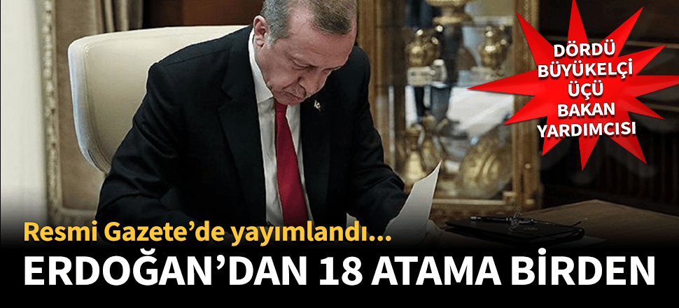 Erdoğan'dan büyükelçiliklere ve bakan yardımcılıklarına atama!
