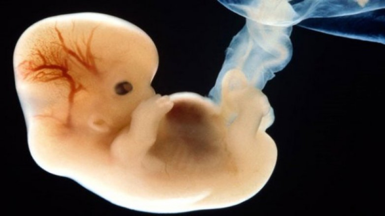 İnsan DNA'sını değiştiren biyoloğa hapis!