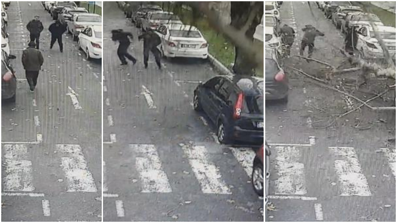 Okmeydanı'nda ağaç araçların üzerine devrildi
