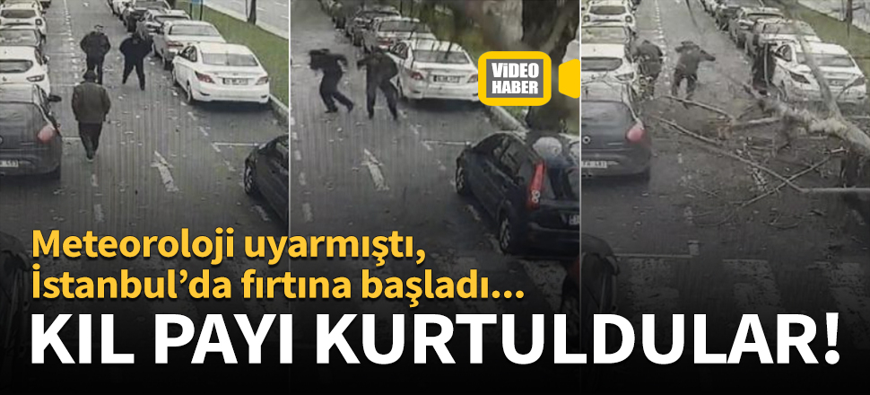 Şişli'de ağacın altında kalmaktan kıl payı kurtuldular!