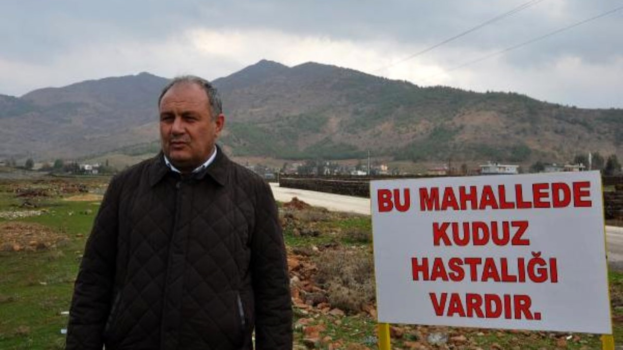 Kuduz yüzünden mahalle karantinaya alındı!