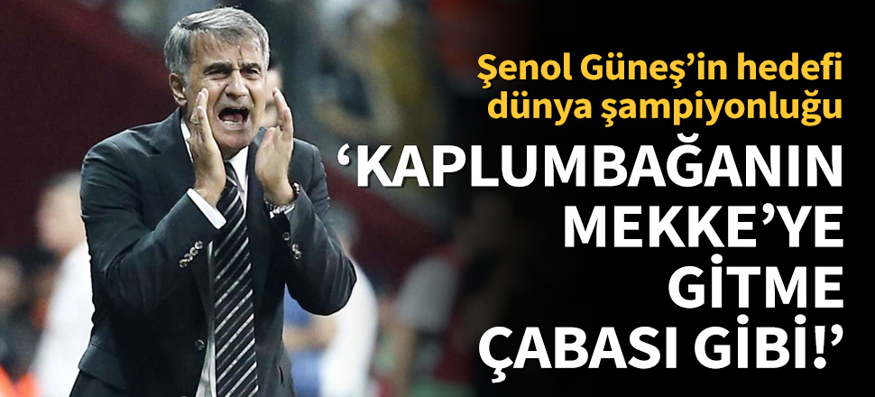Şenol Güneş'ten önemli açıklamalar!