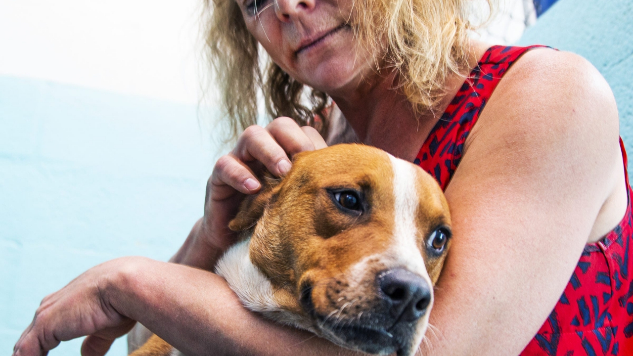 Çok havladığı için köpeğini boğarak öldürdü!