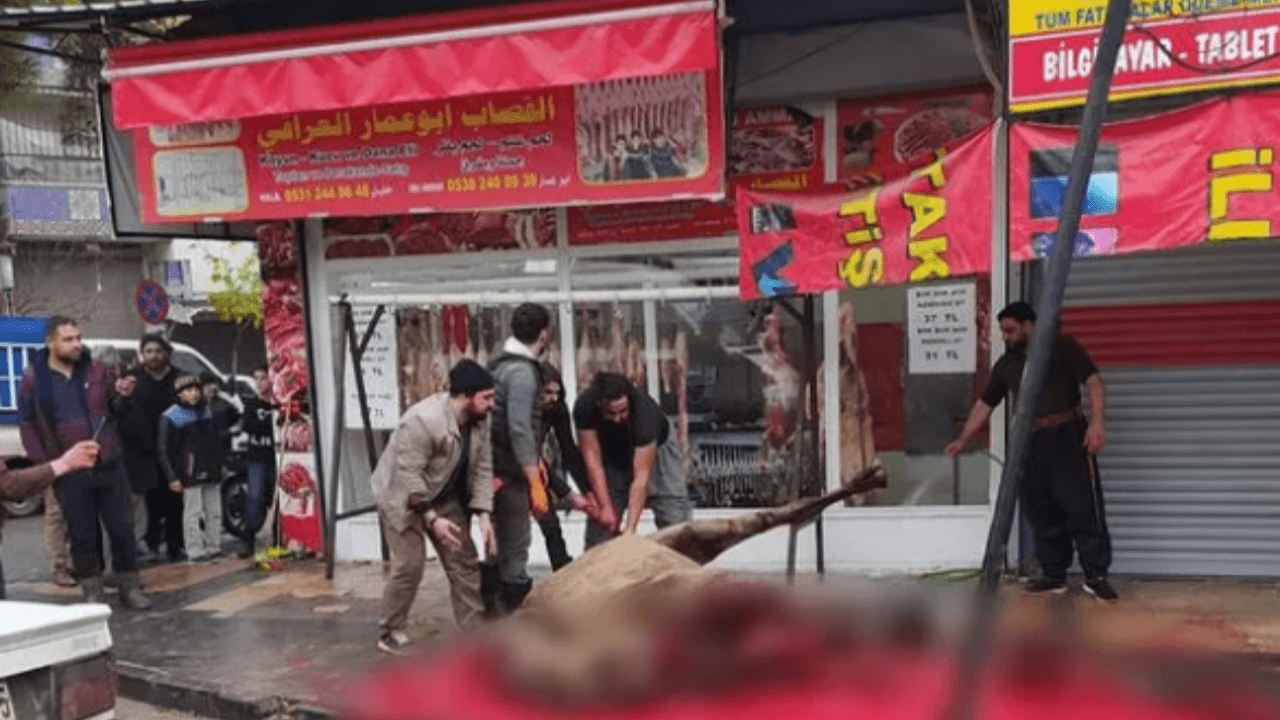 Şanlıurfa'da sokak ortasında deve kesimi!