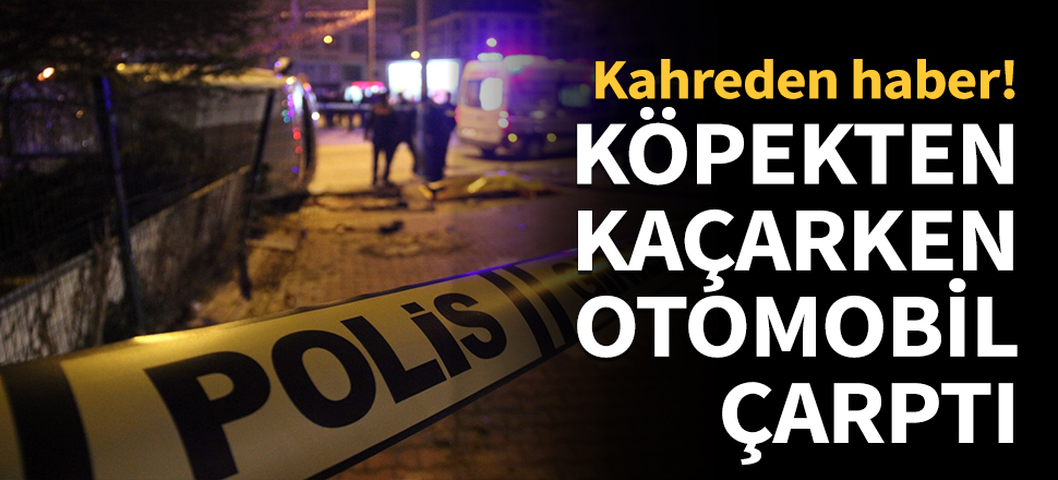 Köpekten kaçarken otomobilin altında kaldı...