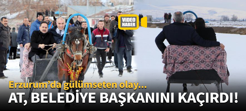 Erzurum'da at, belediye başkanını kaçırdı!