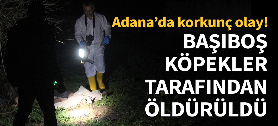 Başıboş köpekler tarafından öldürüldü...