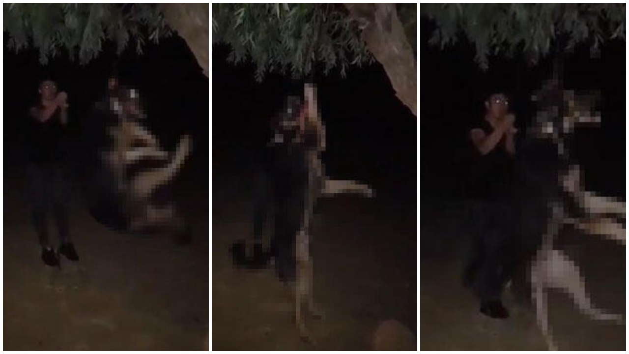 Boynuna geçirdiği iple ağaca asıp ölümünü izledi!