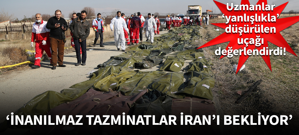 Uzmanlar, İran'ın 'yanlışlıkla' düşürdüğü uçağı yorumladı!