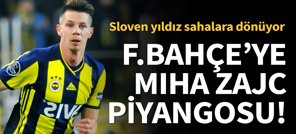 Fenerbahçe'ye Zajc piyangosu!