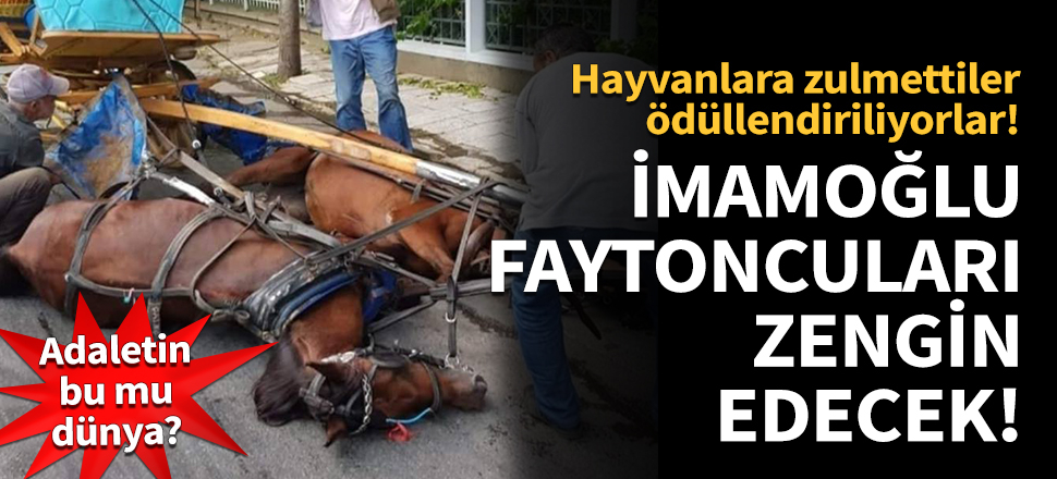 Ekrem İmamoğlu, faytoncuları zengin edecek!