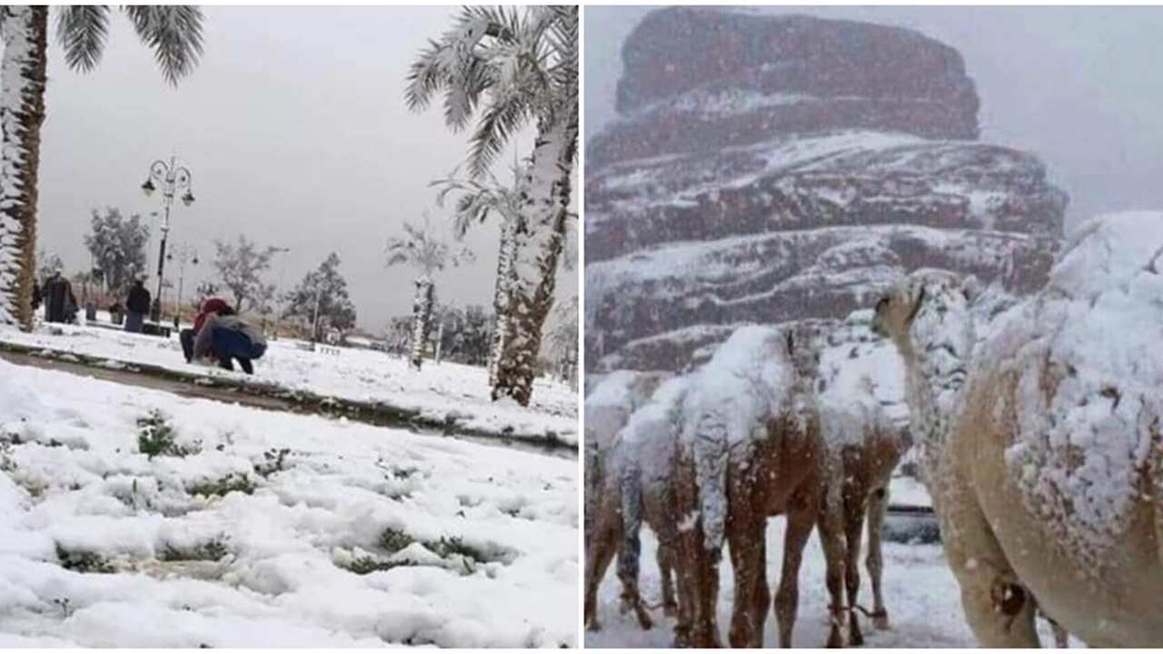 Suudi Arabistan'da kar sürprizi...