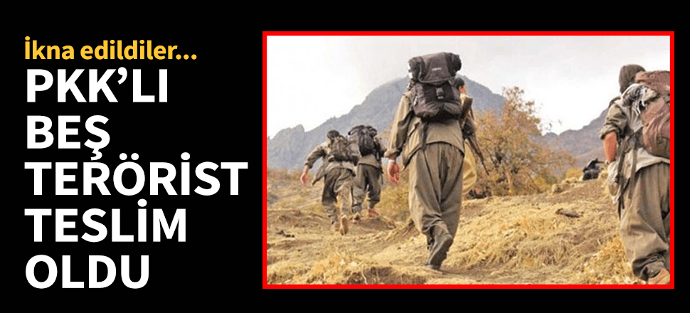 PKK'lı 5 terörist teslim oldu!